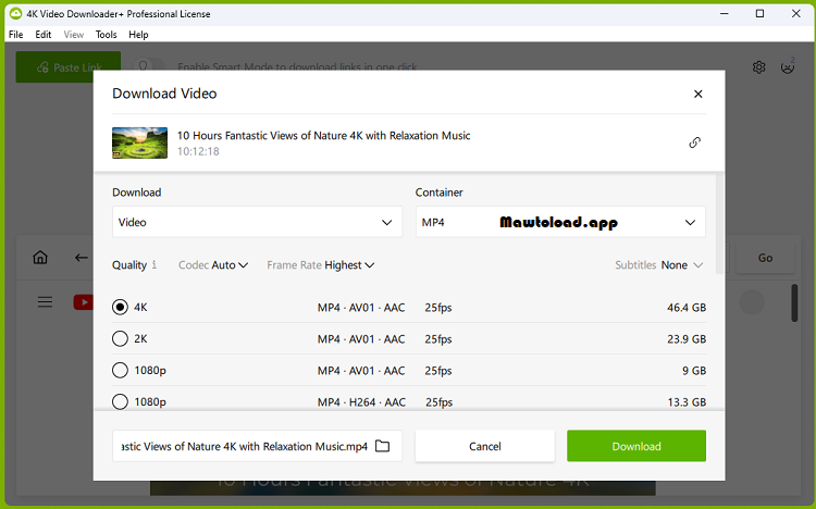 4K Video Downloader Plus Free Download