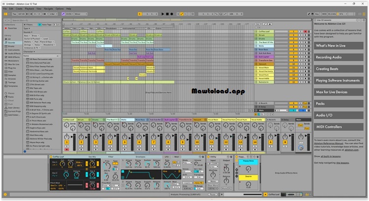 Ableton Live 12 Suite Free Download